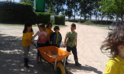 CI: colònies a Juneda 2016