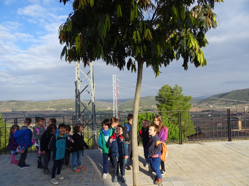 EI: SORTIDA DE TARDOR