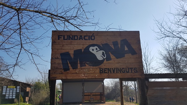 CM: Fundació Mona