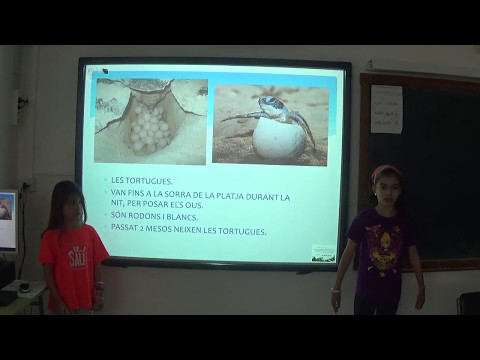 La funció de reproducció