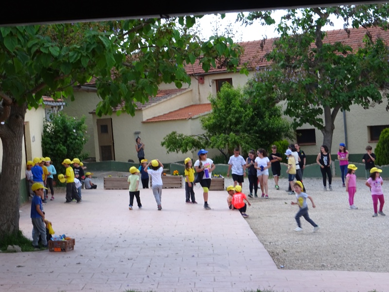 EI. COLÒNIES A CAN BAJONA