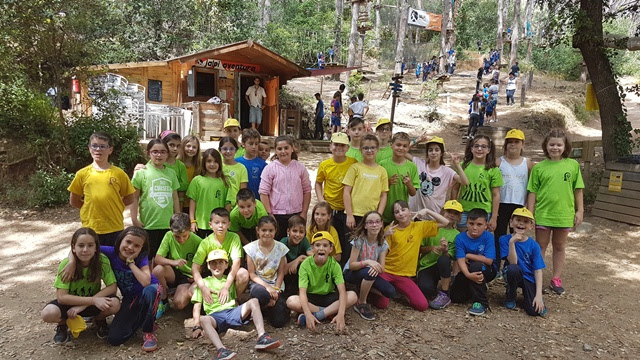 CM: aventura als arbres