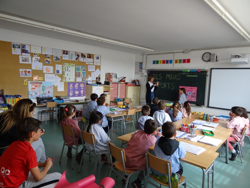 P – 5 REPORTATGES (1)