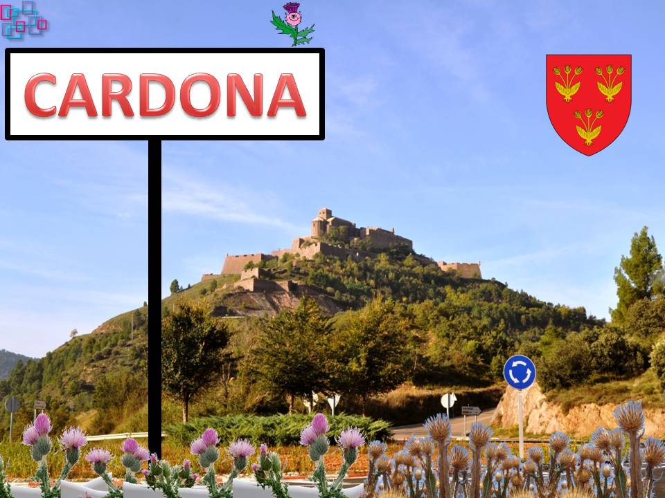 P-3 EL POBLE DE CARDONA