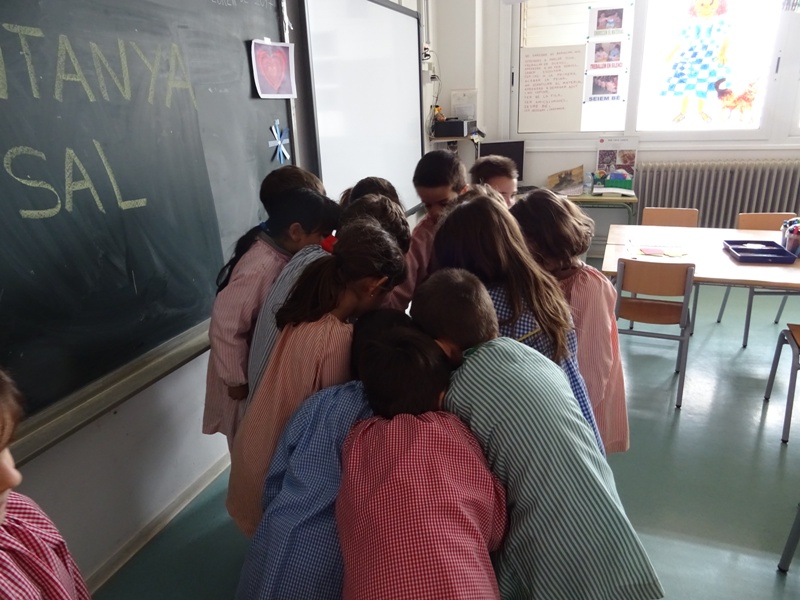 P – 5 REPORTATGES (2)