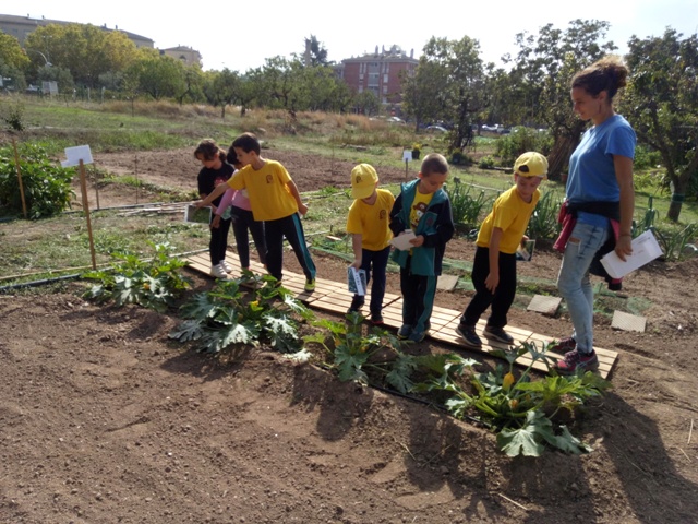 CI: casa de La Culla i deixalleria 17/18