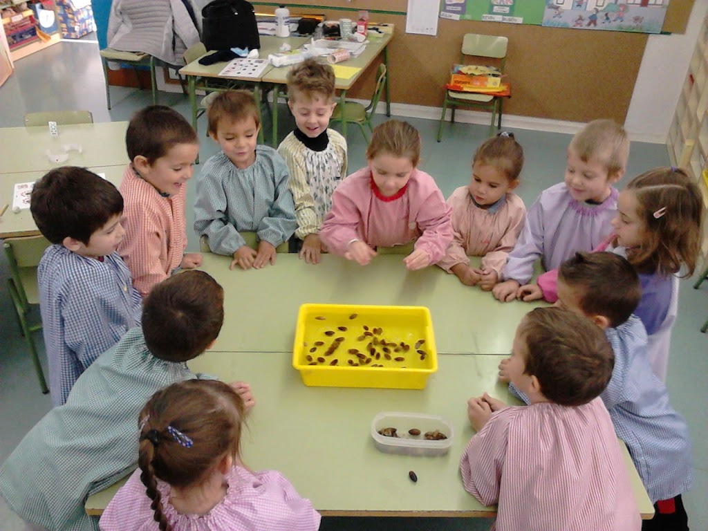 P.4 FEM GERMINAR UNA GLA