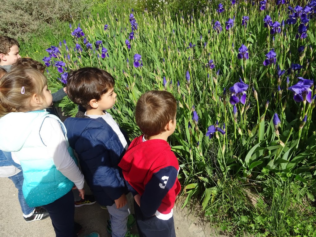 P.3 JA ÉS PRIMAVERA