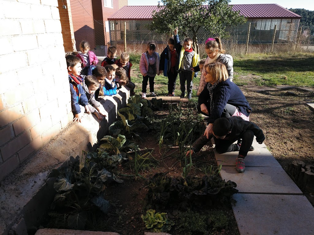 P4. HORT 2n trimestre