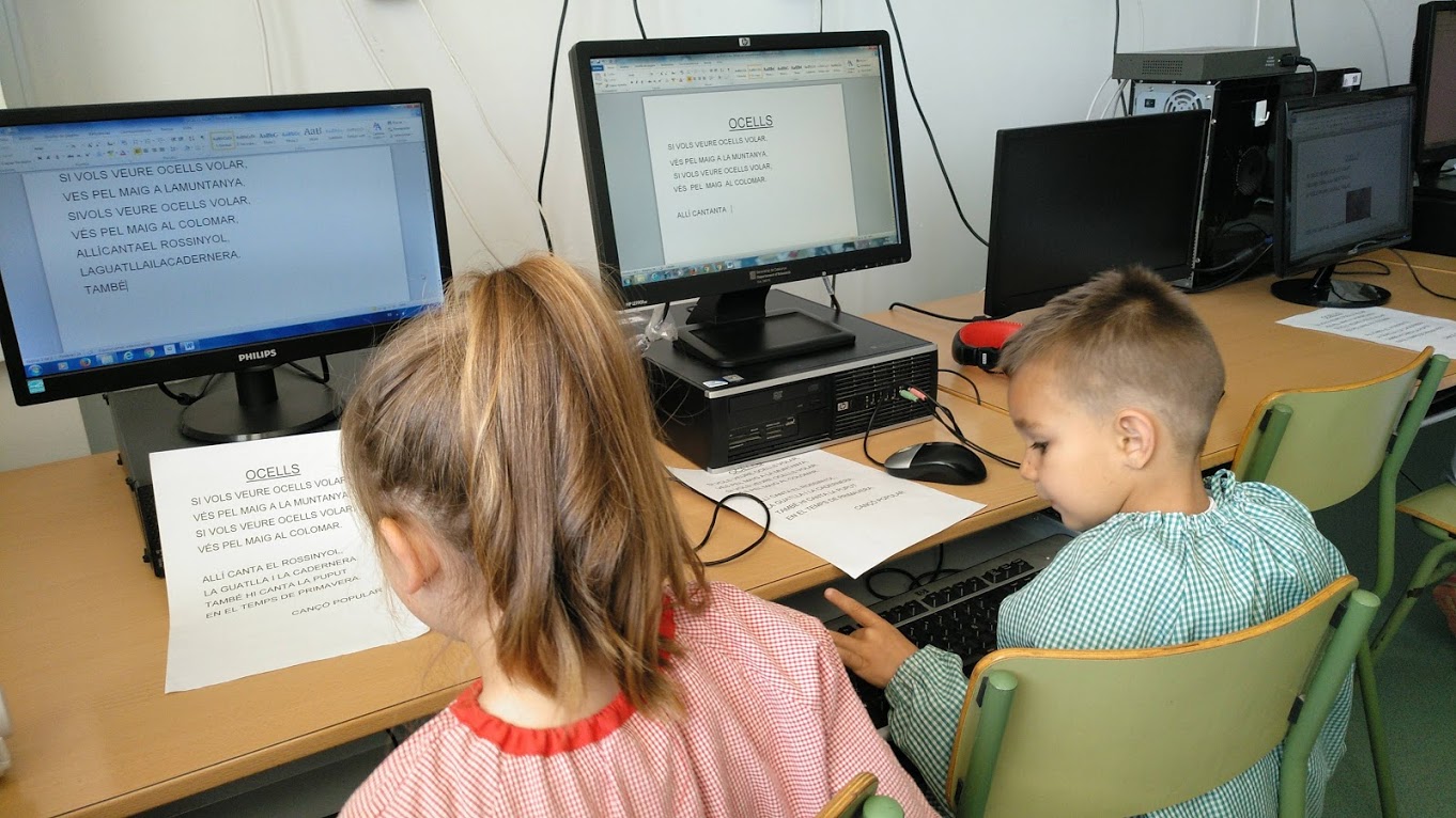 P.4 Activitats a classe 3r trimestre