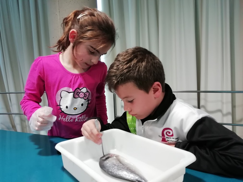 2n. VISITA A L’AQUARIUM