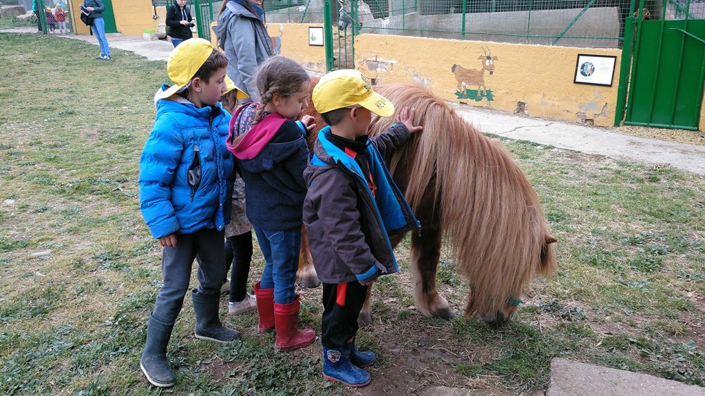 P.5 COLÒNIES A CAN BAJONA