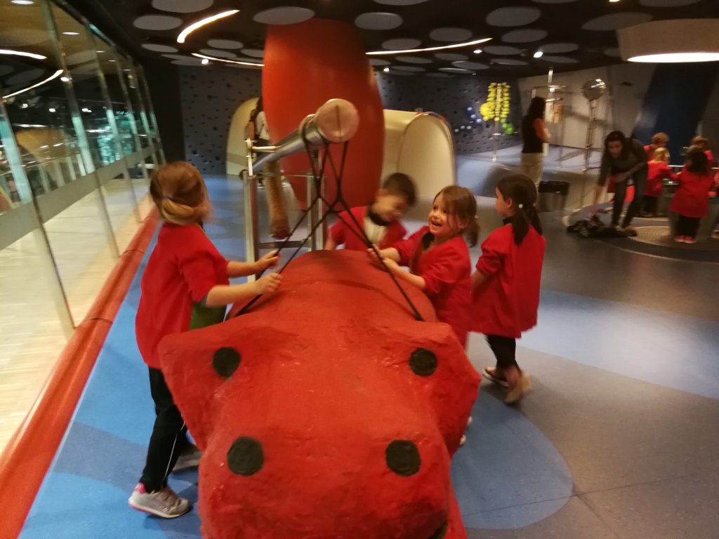 Sortides i colònies