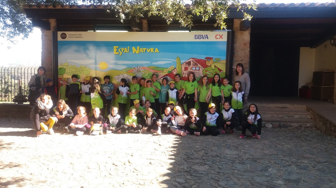 4t. Activitats curs 2018 – 2019