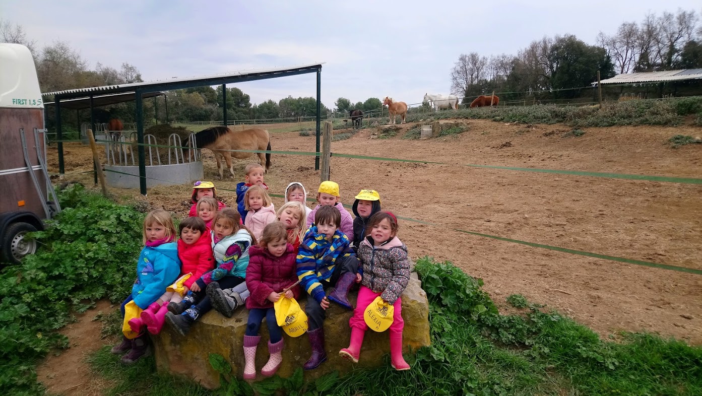 P3. COLÒNIES A CAN BAJONA