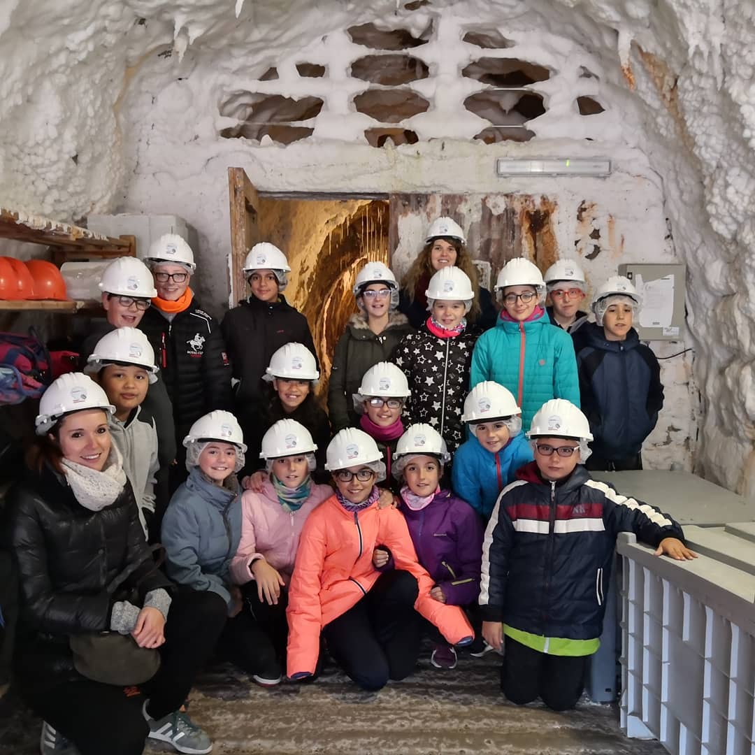 Calendari i sortides trimestrals