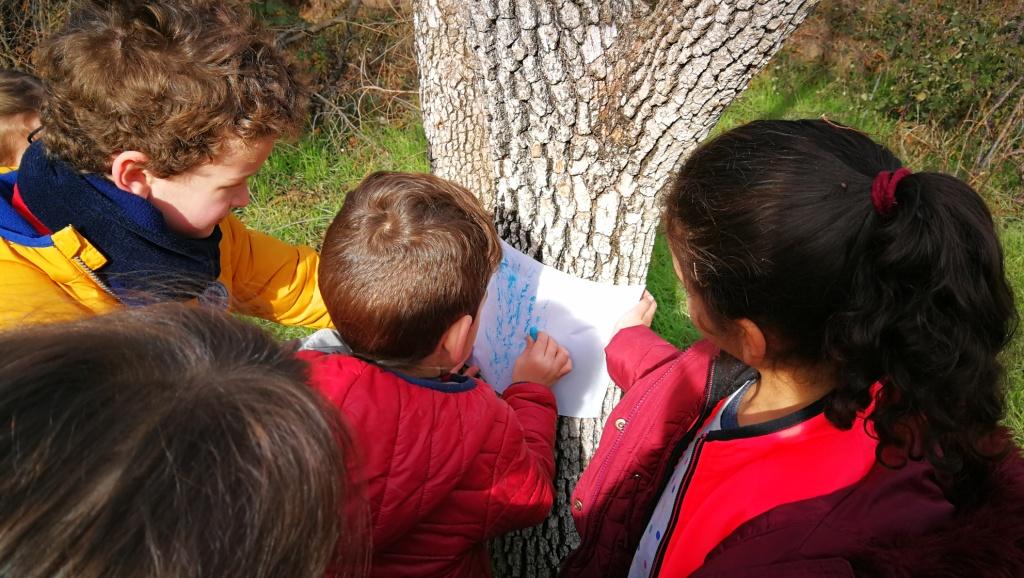 P5. Activitats diverses