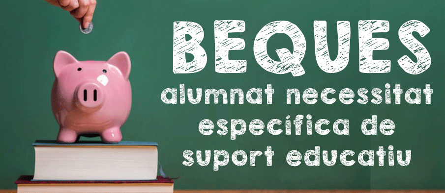 Beques de Necessitat Específica de Suport Educatiu