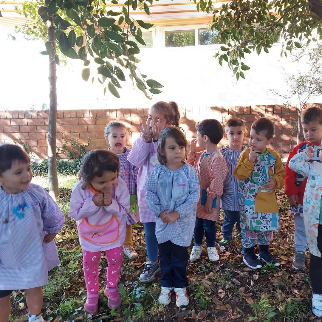 Observació de la figuera. P3