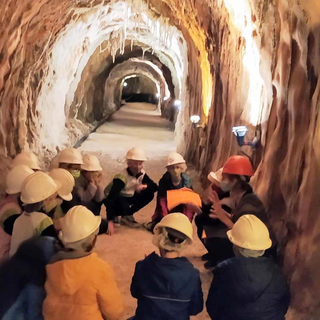 Visita a la Muntanya de Sal. Alumnes de 4t