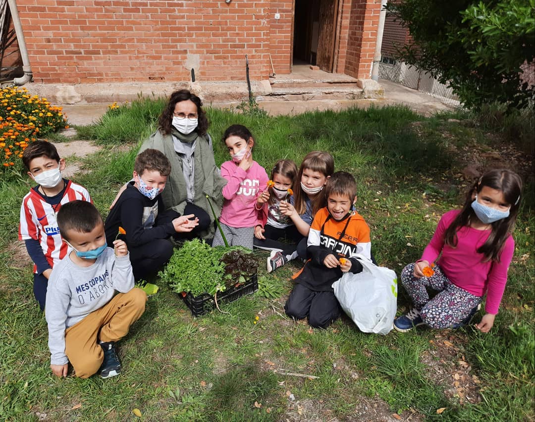 Els alumnes de primer anem a l’hort a collir verdures