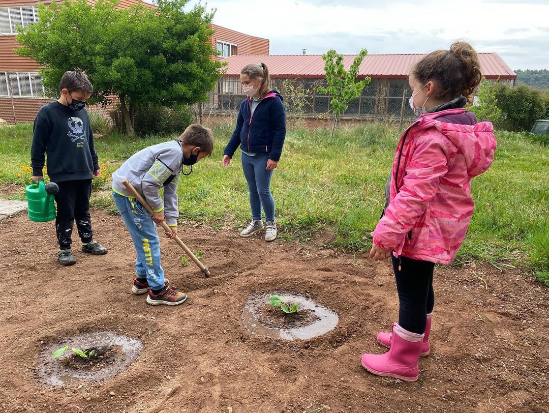 Els alumnes de 2n anem a plantar a  l’hort