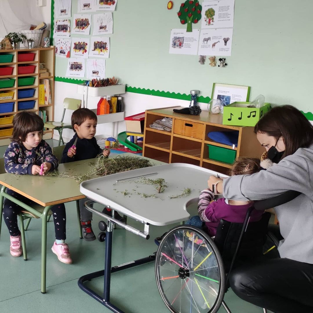 A P3 tallem les herbes  i anem omplint els pots d’olives